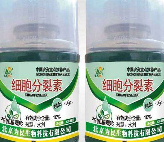 种植龙眼什么时候可以使用植物生长调节剂？