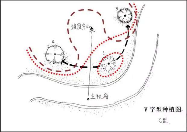 C字型种植图.jpg