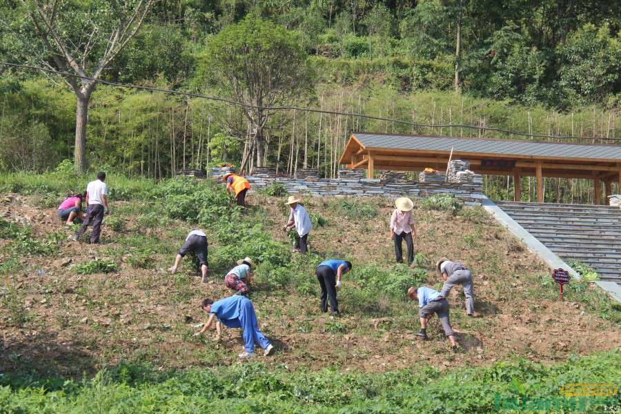 十堰四方山生态公园梳妆打扮特色园