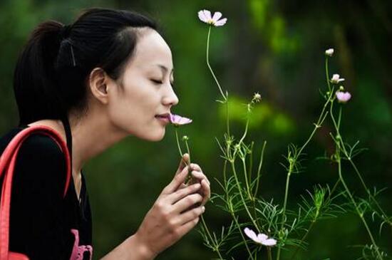 紫色的花有哪些及花名，美女樱紫色壮观暖心花期最长