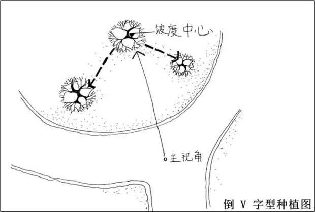 倒V字型种植图.jpg