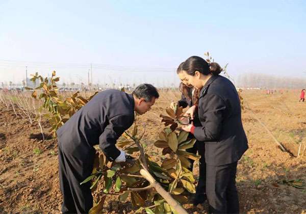 新版《植物检疫证书》元旦启用，到底有多严格？.jpg