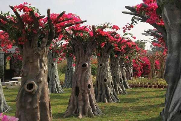 花树造型.jpg