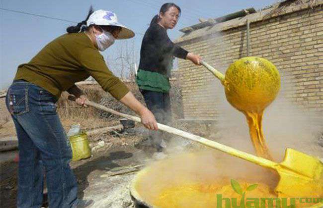 苗木种植为什么离不开石硫合剂