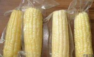 鲜玉米的保存方法