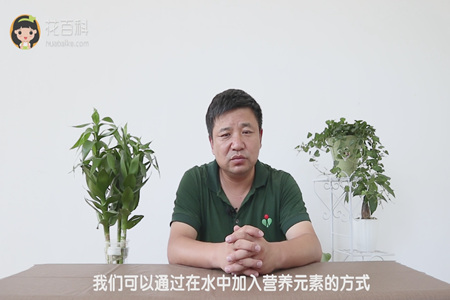 我们可以通过在水中加入营养元素的方式