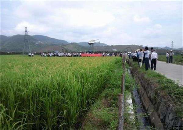 兴庆区力推全程机械化水稻种植技术