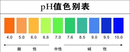 金针菇栽培技术：金针菇对环境有什么要求？