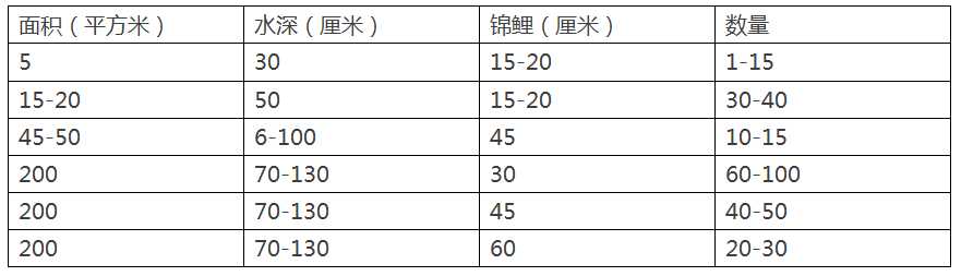 鱼池养殖锦鲤