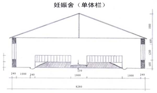 100头母猪养猪场设计图