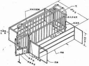 母猪定位栏的安装_养殖方法