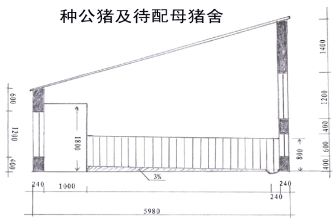 100头母猪养猪场设计图(2)