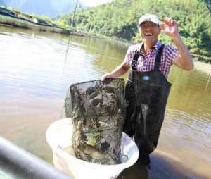 秋冬季节大闸蟹养殖池塘管理工作的三个重点_养殖方法