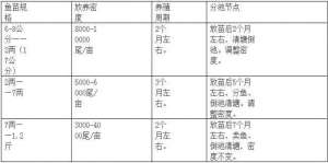 石斑鱼放苗：鱼苗培育的技术要点（土塘和高位池）_养殖方法