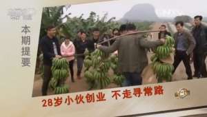 [致富经]梁春：香蕉种植年入5000万元是如何做到的【库百科养殖网】