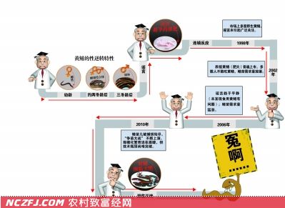 黄鳝真的是用激素催肥的吗？【库百科养殖网】