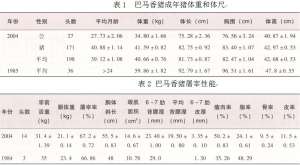 巴马香猪【库百科养殖网】