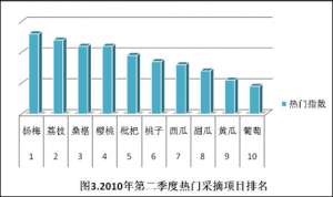 [每日农经]夏季赚钱的采摘项目：黄皮小西瓜 栗蘑 硬果番茄【库百科养殖网】