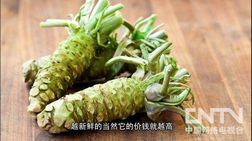 [致富经]任三军种植山葵带来的财富【库百科养殖网】