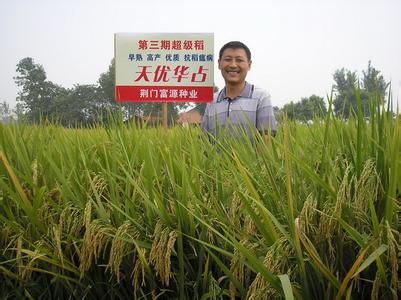 “天优华占”水稻品种介绍及栽培技术[致富早班车]【库百科养殖网】