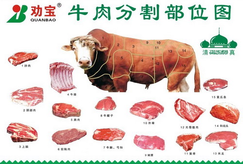 肉牛分割技术、肉牛分割部位和方法　[农广天地]【库百科养殖网】