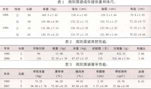 南阳黑猪【库百科养殖网】