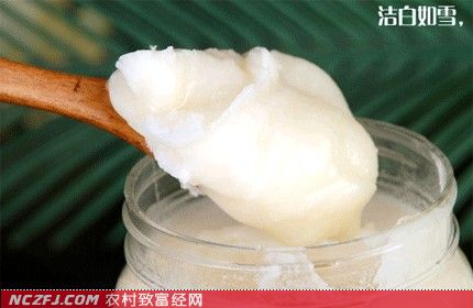 椴树蜜：与众不同的雪蜜价格高养蜂效益年赚十万　[每日农经]【库百科养殖网】