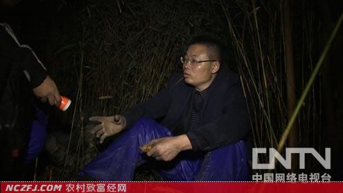 张成生种植乌天麻的致富故事[致富经]【库百科养殖网】