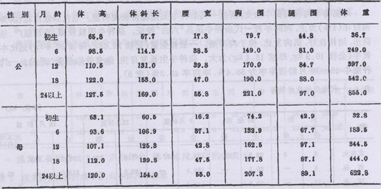 海福特牛【库百科养殖网】