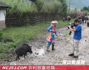 [生财有道小耳猪]刘成云明光小耳猪养殖成就大财富【库百科养殖网】