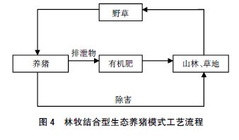 推介3种环保型生态养猪模式【库百科养殖网】