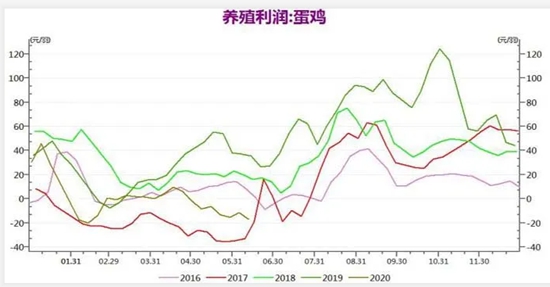 行情分析：全国蛋鸡存栏13亿，下半年鸡蛋价格走势预测?