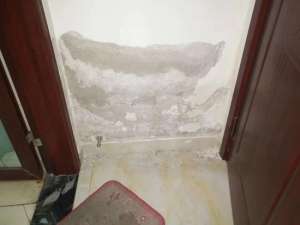 卫生间砖缝漏水怎么监测，卫生间砖缝漏水维修电话是什么