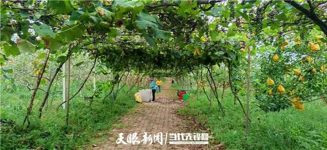 二十大时光｜乌当区场上村：农旅融合打造城市“后花园”