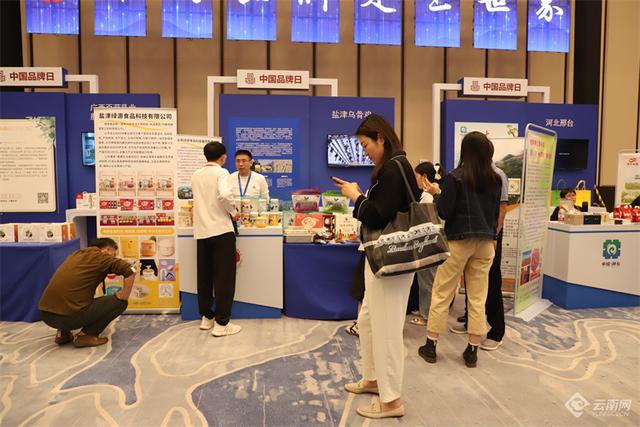 山沟沟里飞出“黑凤凰”云南盐津乌骨鸡登陆沿海及西南大中城市