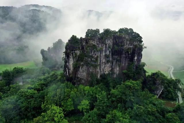 曾家山柴火鸡，安排～