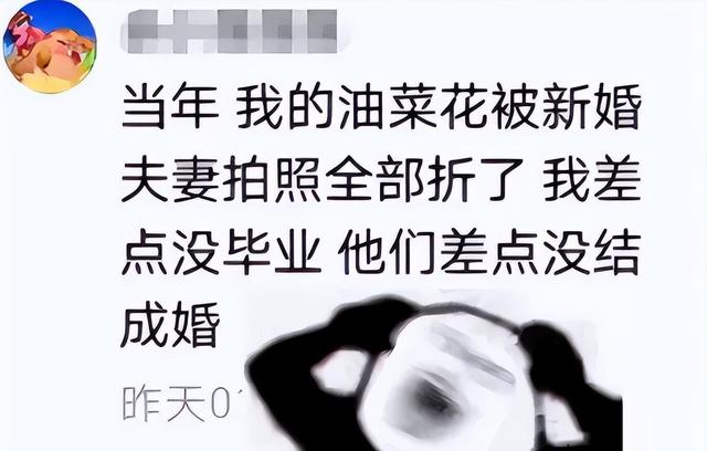 白菜萝卜杂交惊艳收成，农校老师惊呆了！