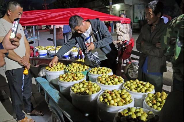 范家冬枣夜市：产业+餐饮带动当地60余家食堂生意兴隆