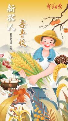 鸡头米种植视频(新农人·喜丰收③｜ 入藕花深处，遇上莲藕与芡实)