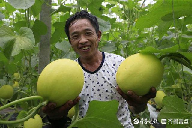 莘县瓜菜菌种植面积和总产量均居山东省首位