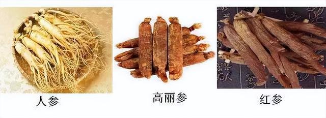 大补7种参，药性各不同，不要吃错了