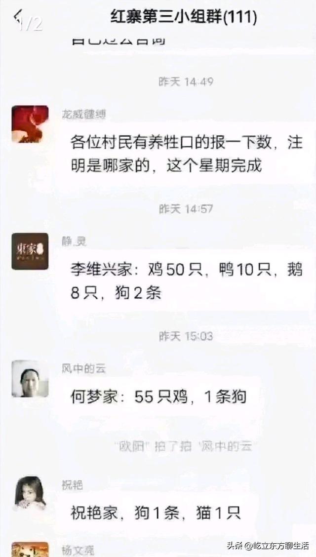 纪实：为集约管理，村民报备养家禽数量，网友称：土鸡土鸭没有了