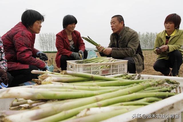 根结线虫难防又难治！种植瓜果蔬菜如何全面彻底的防治根结线虫？