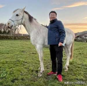 胡蜂养殖技术骗局(扬言从欧洲骑马回国，遭举报后公开真相道歉，为了流量没了底线)