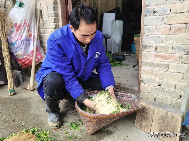 黑鸡产下五色蛋 肉蛋清香受青睐