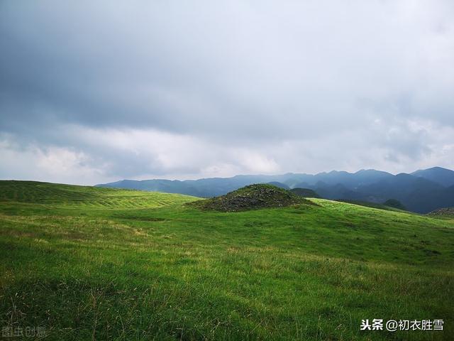 白居易种花诗：无论海角与天涯，大抵心安即是家，种杏栽桃拟待花