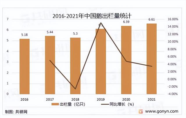 2023鹅养殖行业报告：鹅养殖行业市场分析及前景预测