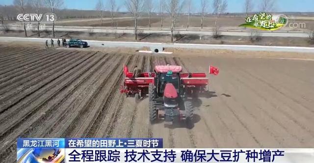 黑龙江黑河：全程跟踪 技术支持 确保大豆扩种增产