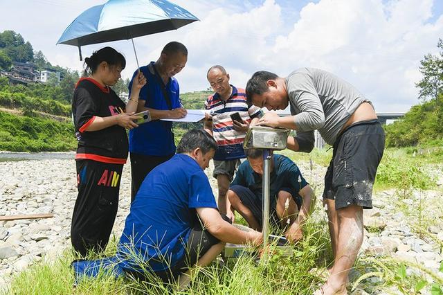 贵州凯里：稻鱼共生双丰收