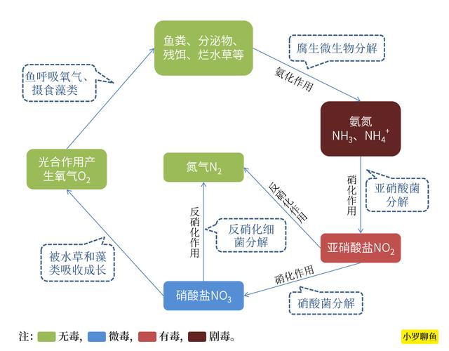 如何降解去除鱼缸中的氨氮、亚硝酸盐和硝酸盐？